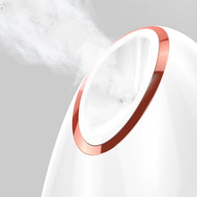 Nano Thermal Spray Moisturizing Face Steamer
