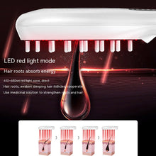 New Electric Anion Hair Care Hair Brush Micro Current Red Blue Light Vibration Massage